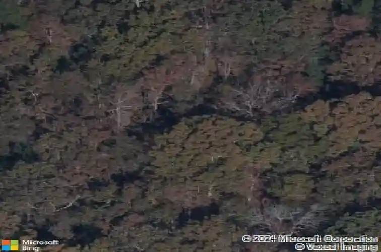 512 morning mist rd, elgin,  SC 29045