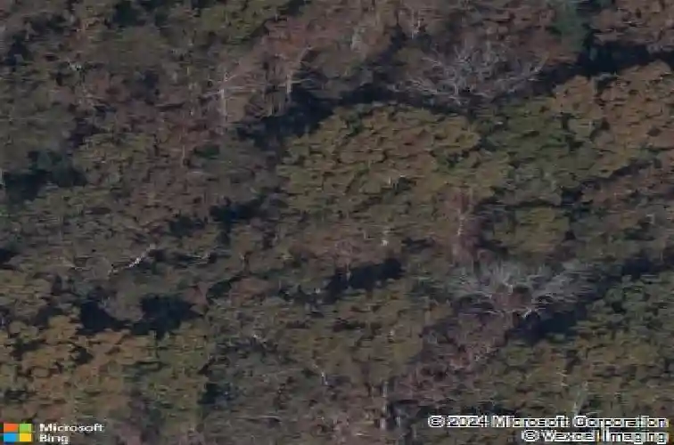 508 morning mist rd, elgin,  SC 29045