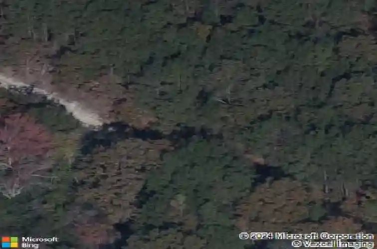 307 sundew rd, elgin,  SC 29045