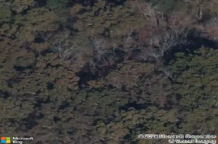 352 sundew rd, elgin,  SC 29045