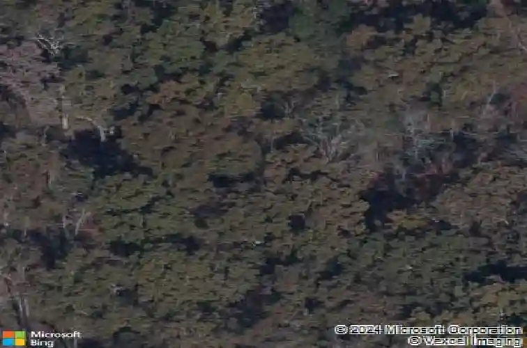 348 sundew rd, elgin,  SC 29045