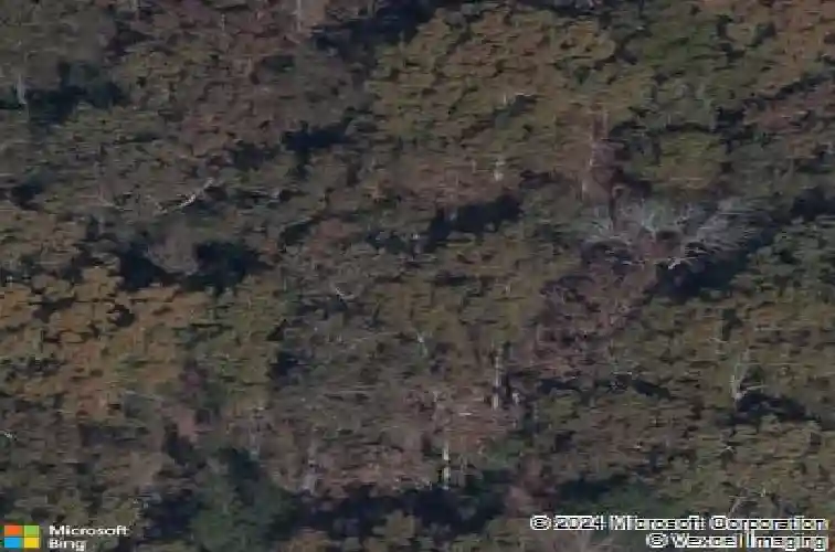 504 morning mist rd, elgin,  SC 29045