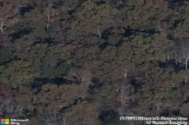 637 calming dusk way, elgin,  SC 29045