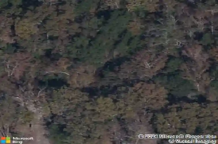 503 morning mist rd, elgin,  SC 29045