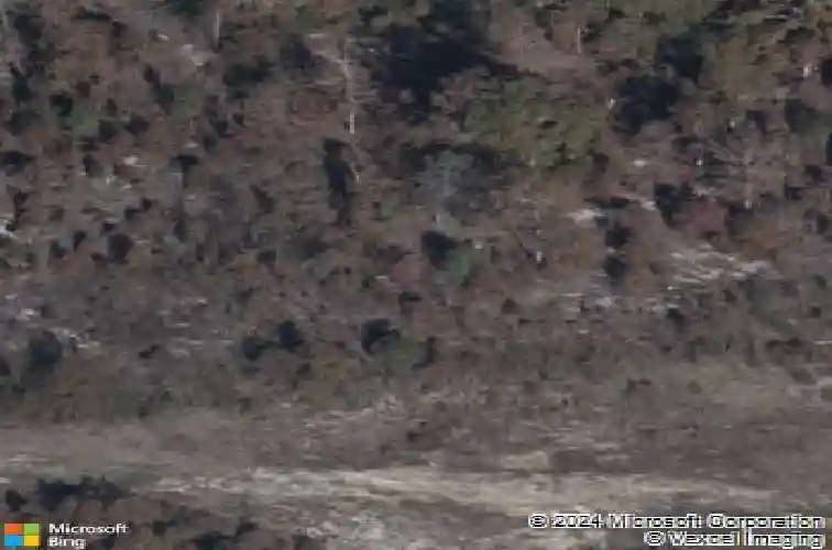 1049 golden ledge ln, elgin,  SC 29045