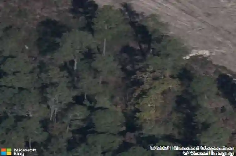 141 calming creek way, elgin,  SC 29045