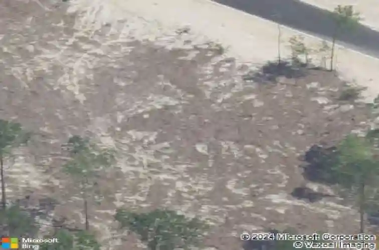 328 e arrowleaf ln, elgin,  SC 29045