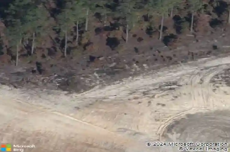 1013 golden ledge ln, elgin,  SC 29045