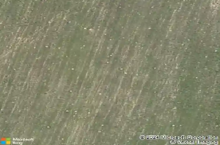 143 melanie rose dr, maurice,  LA 70555