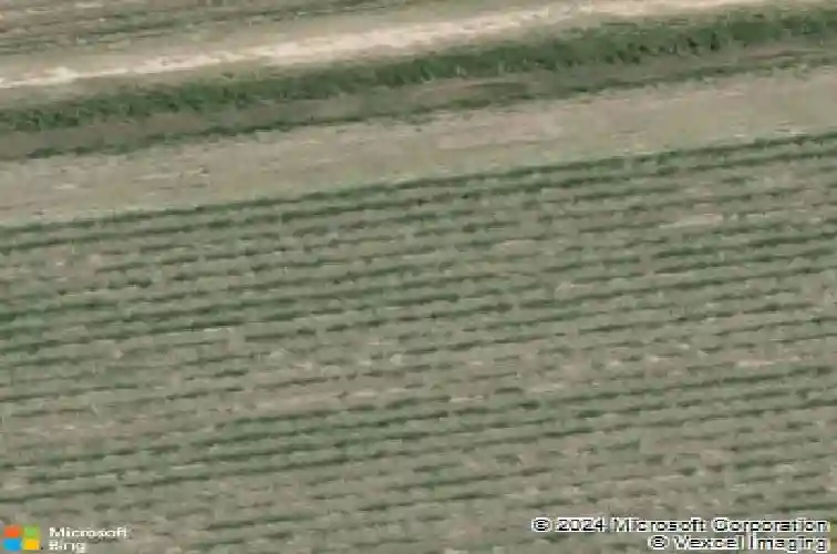 7014 acacia lake dr, maurice,  LA 70555