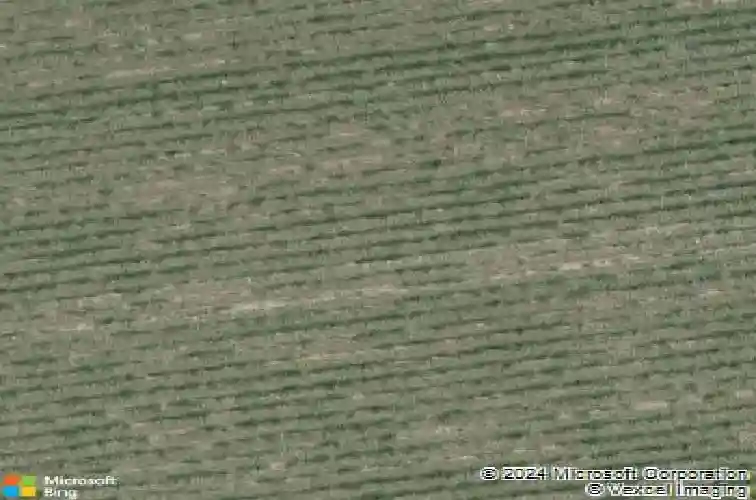 7000 silverlake dr, maurice,  LA 70555
