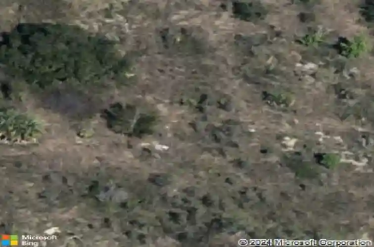  winter haven,  FL 33881