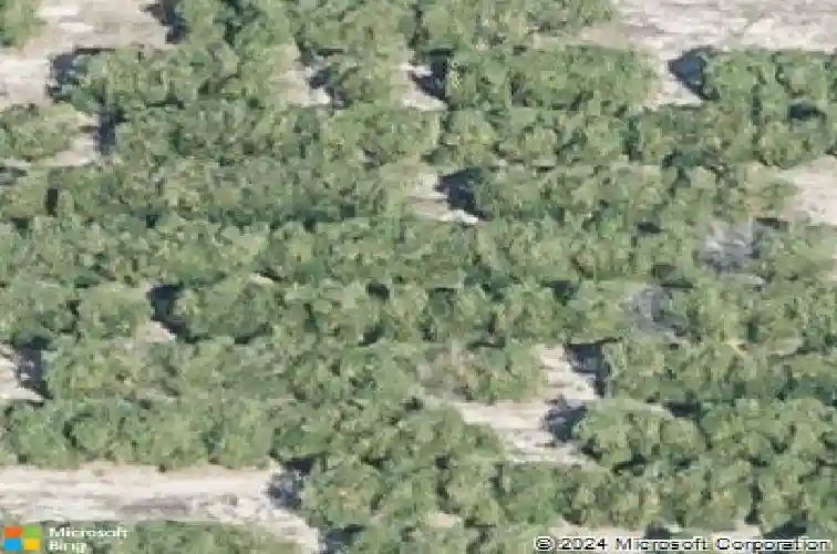  lake alfred,  FL 33850