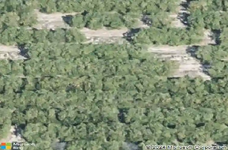  lake alfred,  FL 33850