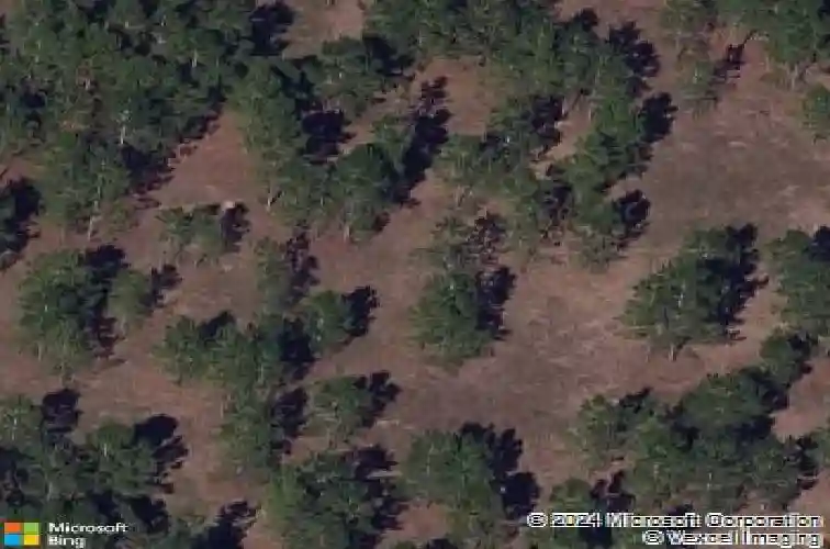  davenport,  FL 33897