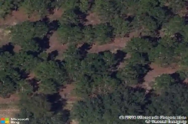  davenport,  FL 33897