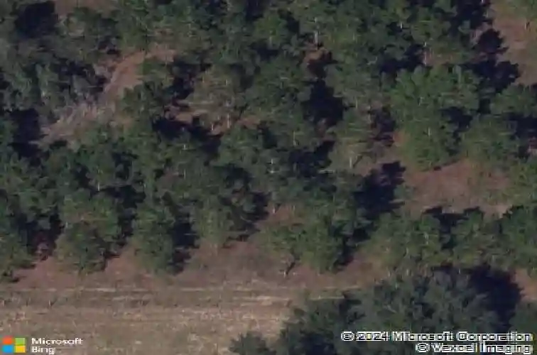  davenport,  FL 33897