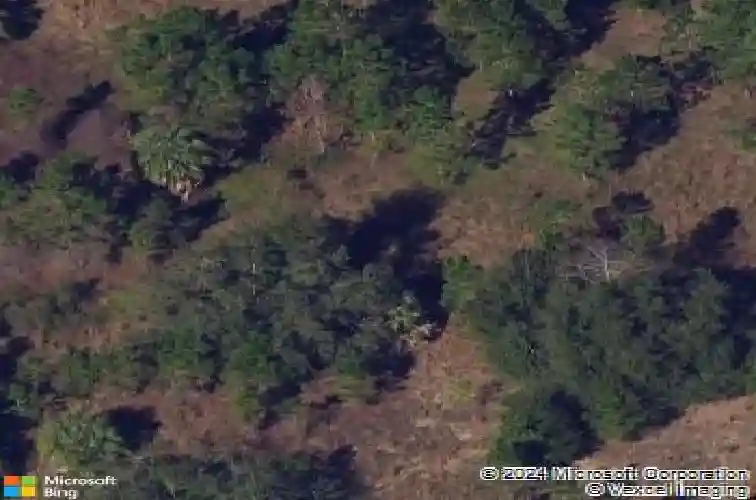  davenport,  FL 33897