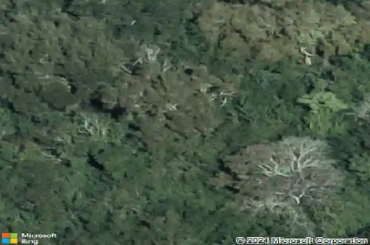  winter haven,  FL 33881