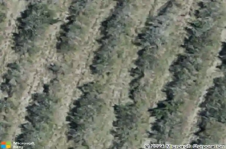  winter haven,  FL 33881