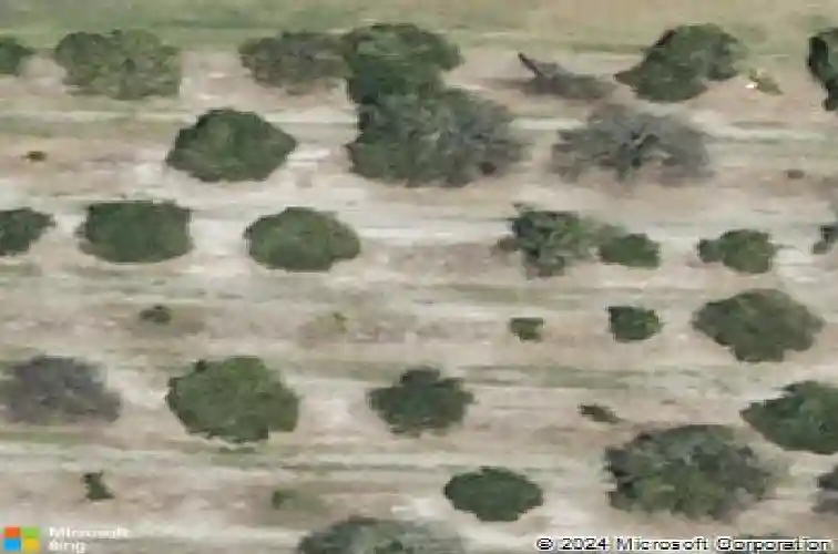  winter haven,  FL 33880
