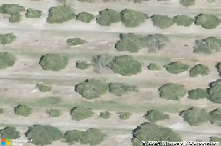  winter haven,  FL 33880