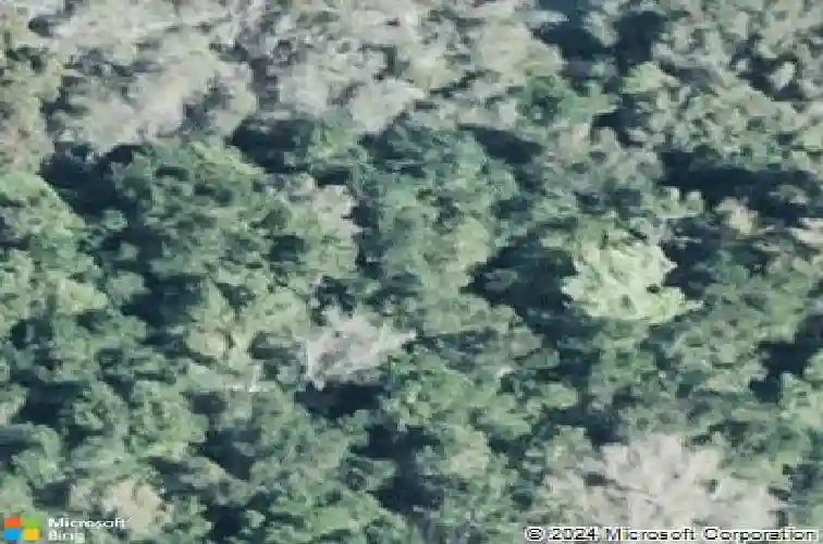  winter haven,  FL 33880