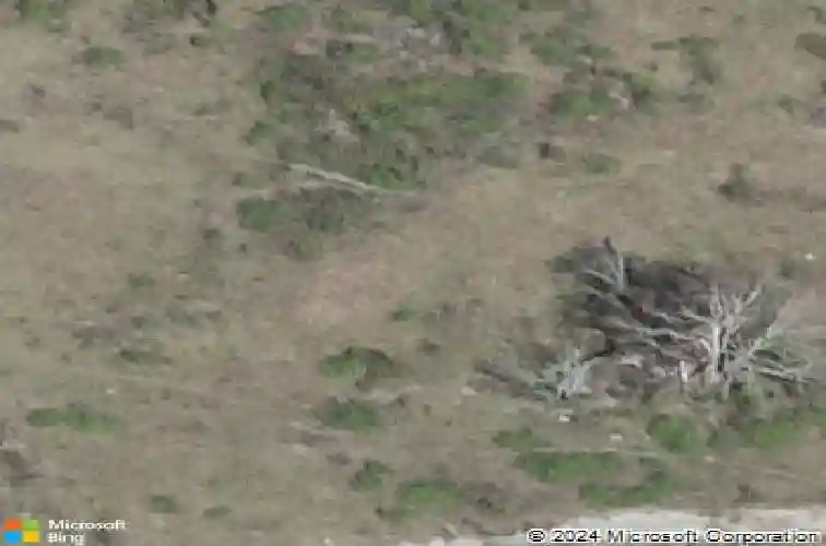  auburndale,  FL 33823