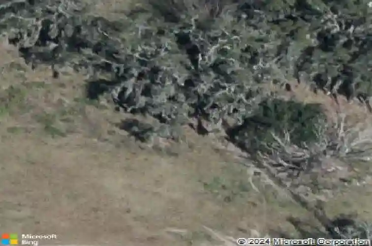  auburndale,  FL 33823