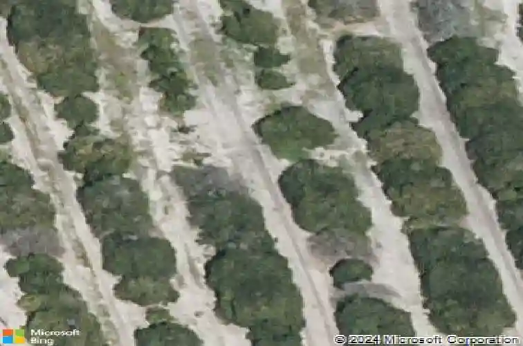  auburndale,  FL 33823