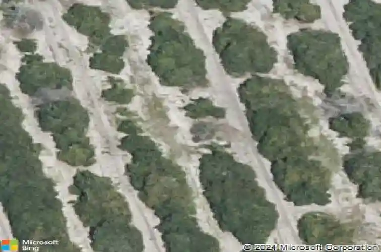  auburndale,  FL 33823