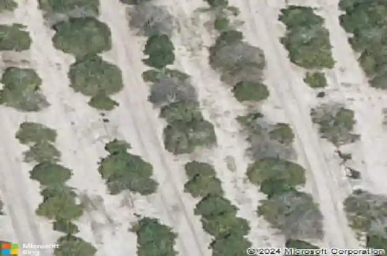  auburndale,  FL 33823