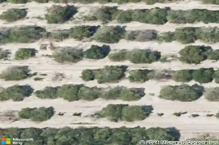  auburndale,  FL 33823