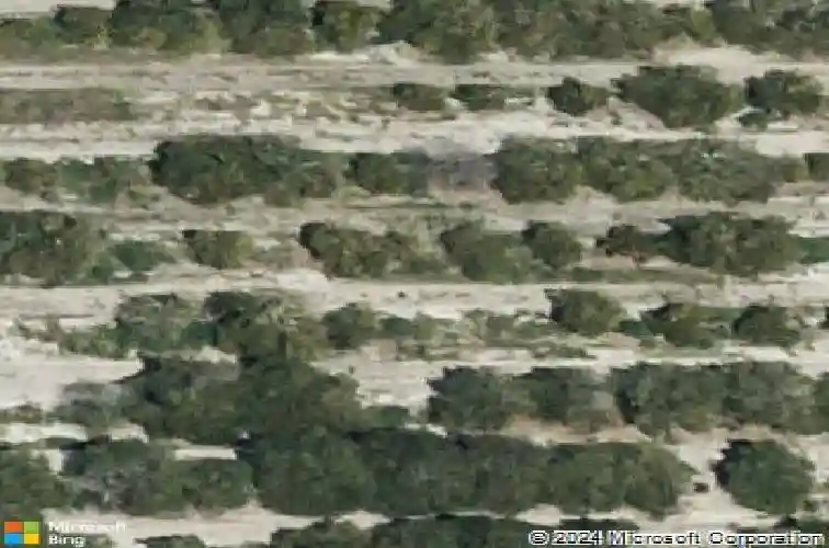  auburndale,  FL 33823