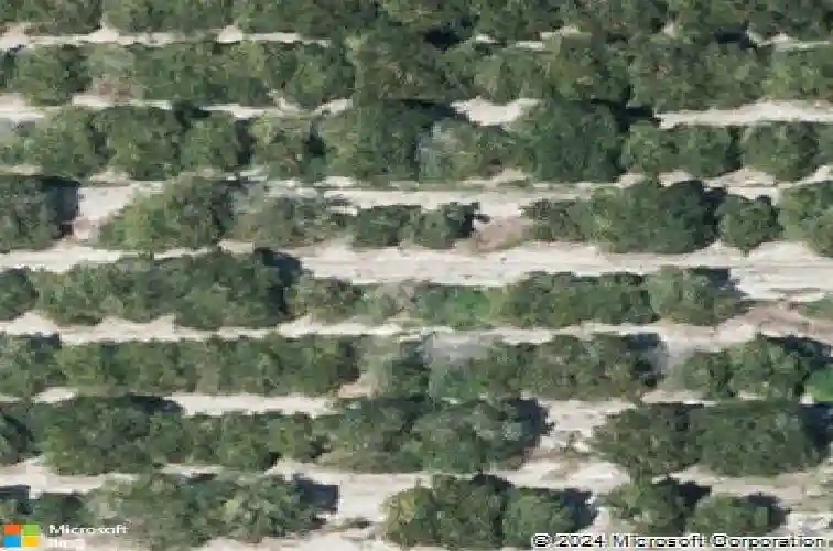  auburndale,  FL 33823