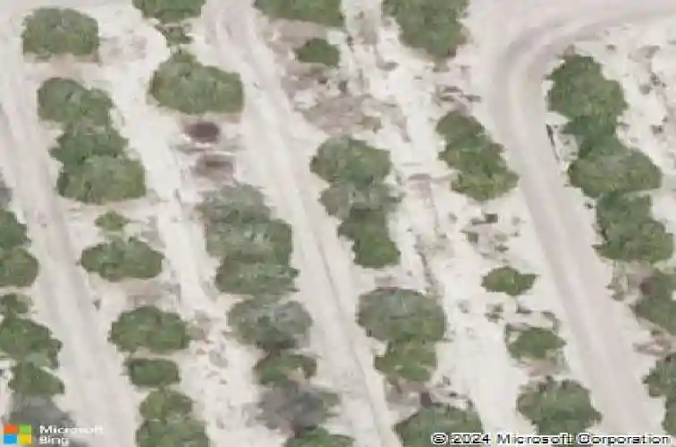  auburndale,  FL 33823