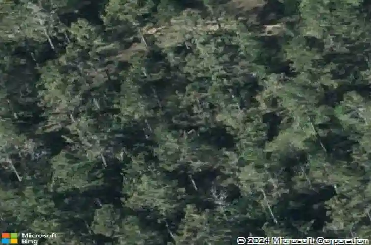  haines city,  FL 33844