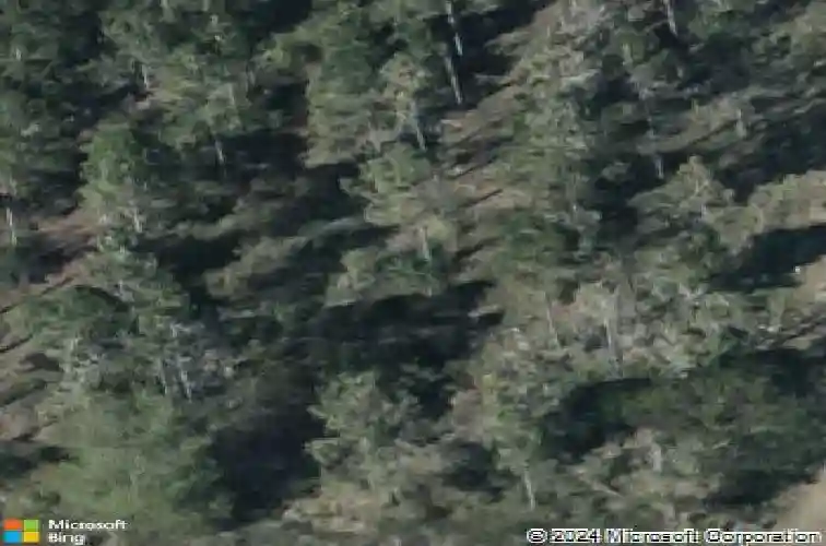  haines city,  FL 33844
