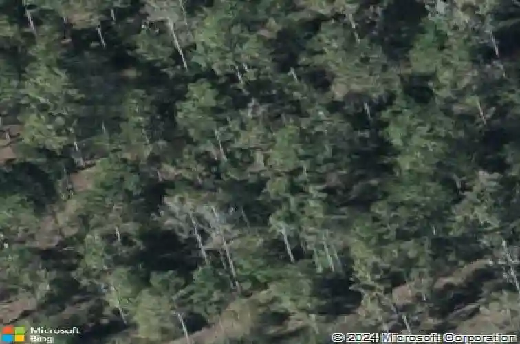  haines city,  FL 33844