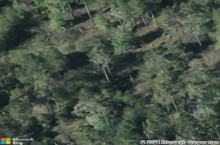  haines city,  FL 33844