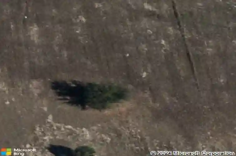  haines city,  FL 33844