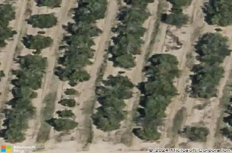  haines city,  FL 33844