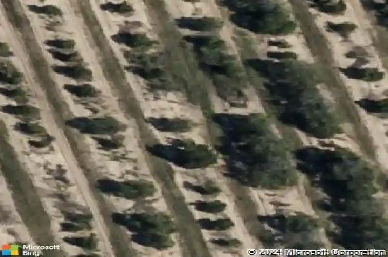  haines city,  FL 33844