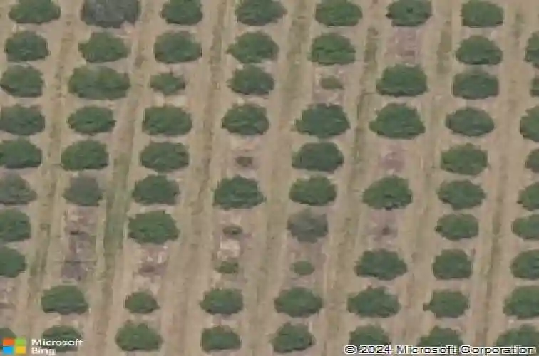  haines city,  FL 33844