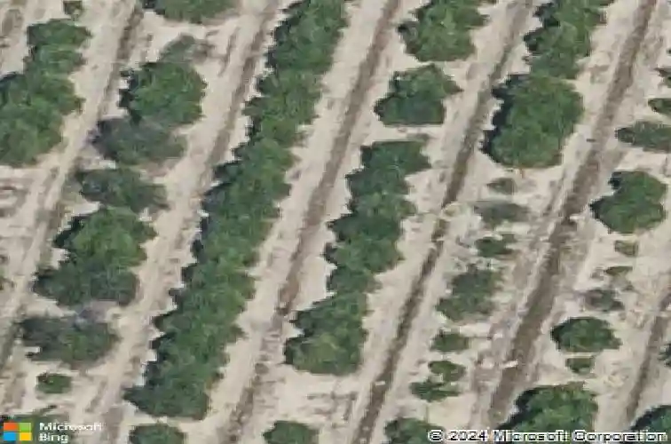  haines city,  FL 33844