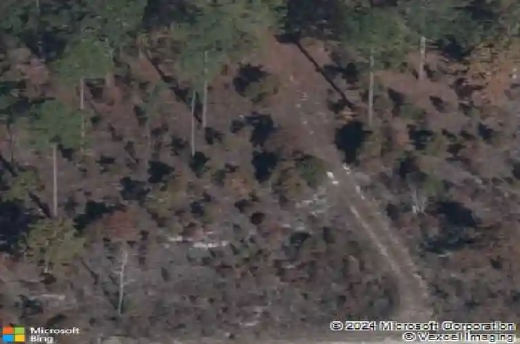 1029 golden ledge ln, elgin,  SC 29045