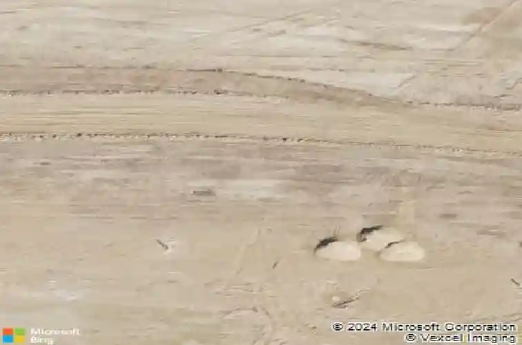  new caney,  TX 77357