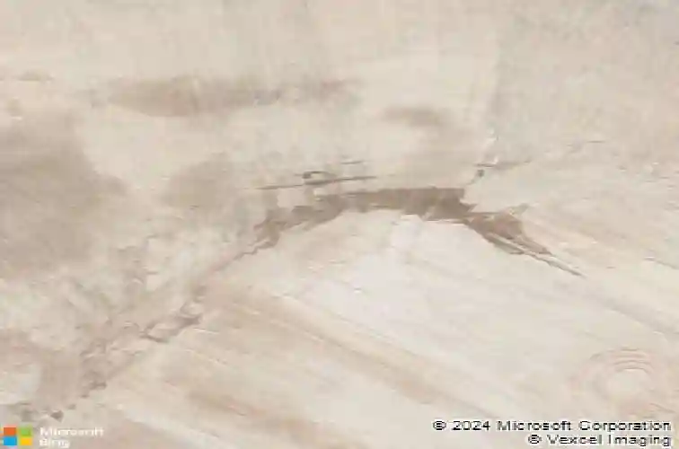 313 greenwood valley ct, elgin,  SC 29045