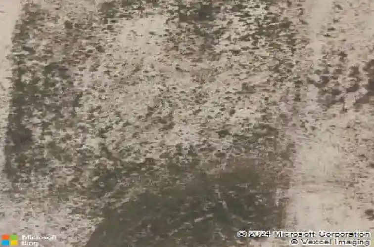 6084 guy ter, the villages,  FL 32163