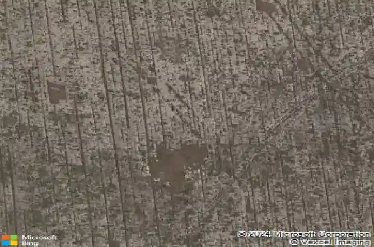 6295 danielson loop, the villages,  FL 32163